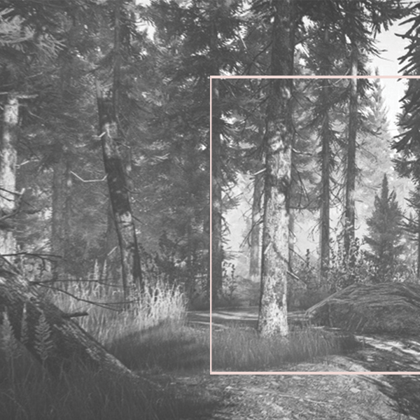 Gnomos Mágicos - Paula Guzmán 