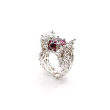 Anillo Arrecife