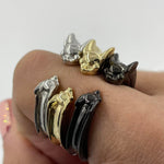 Anillo Chihuahua - Paula Guzmán