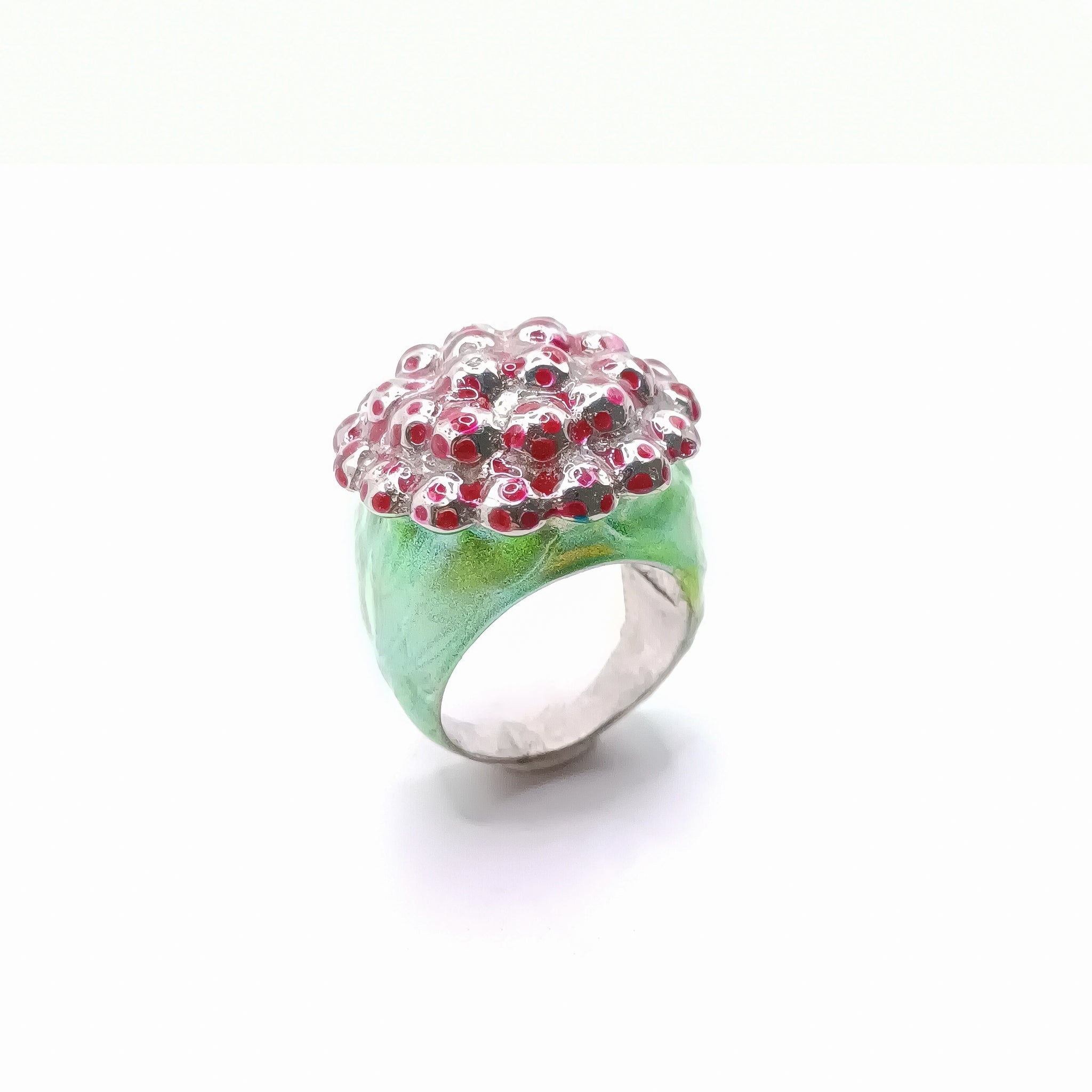 Anillo Jardín de hongos - Paula Guzmán