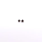 Aretes Amuleto Estrella - Paula Guzmán