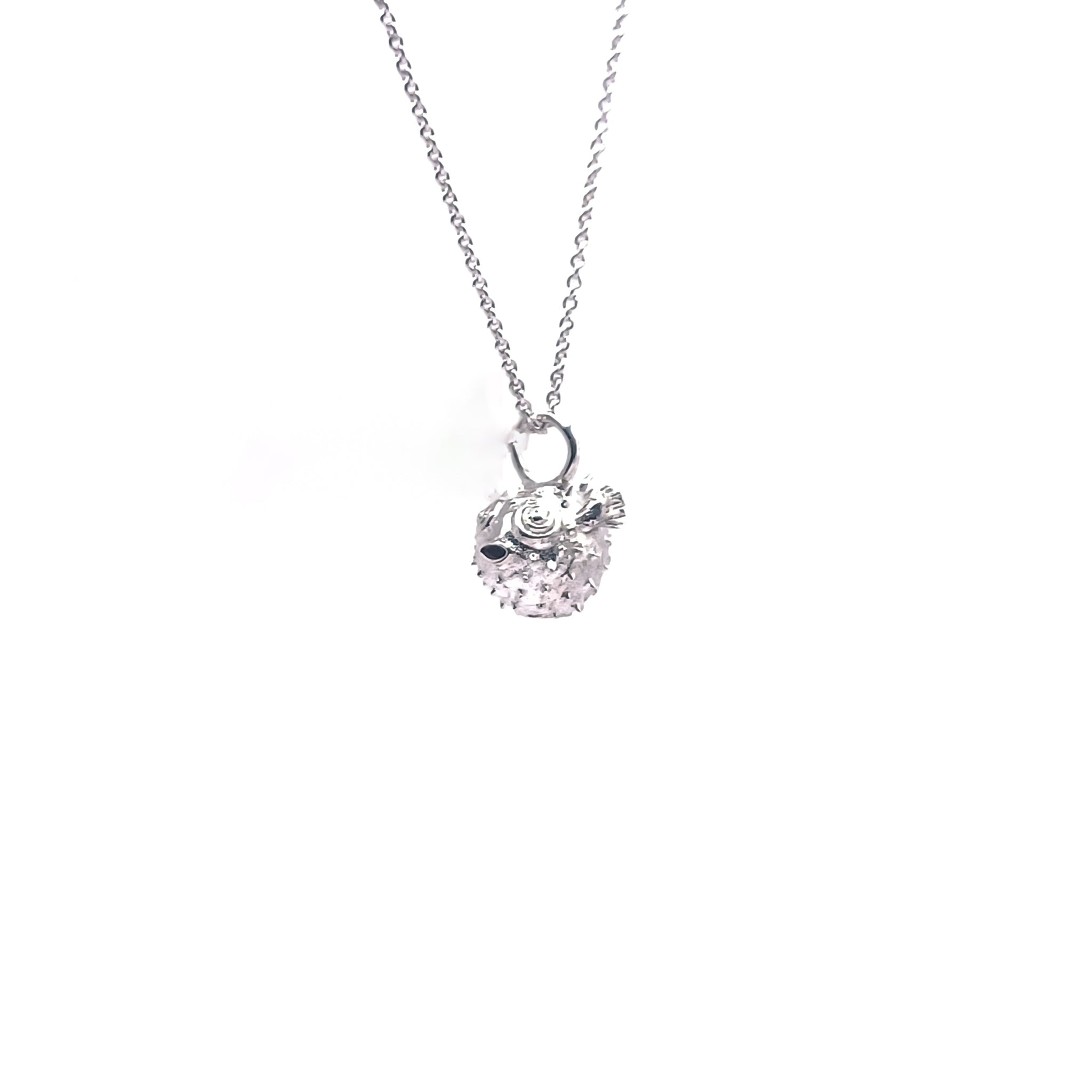 Blow fish Dije Grande - Paula Guzmán