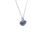 Blow fish Dije Grande - Paula Guzmán