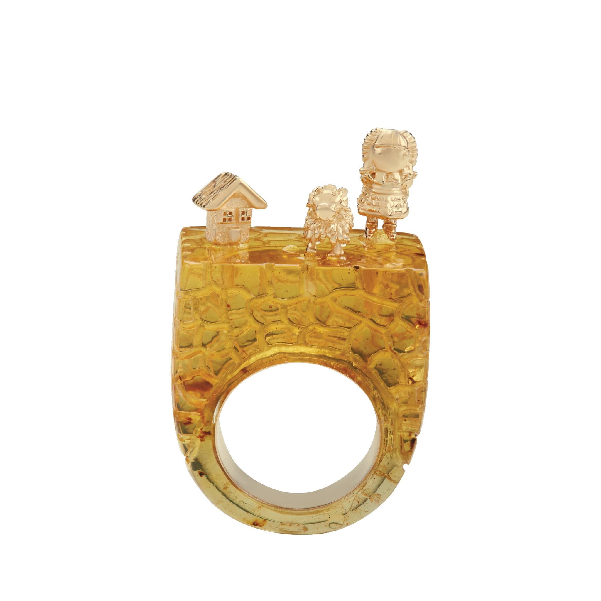 Camino a casa Ámbar - Paula Guzmán