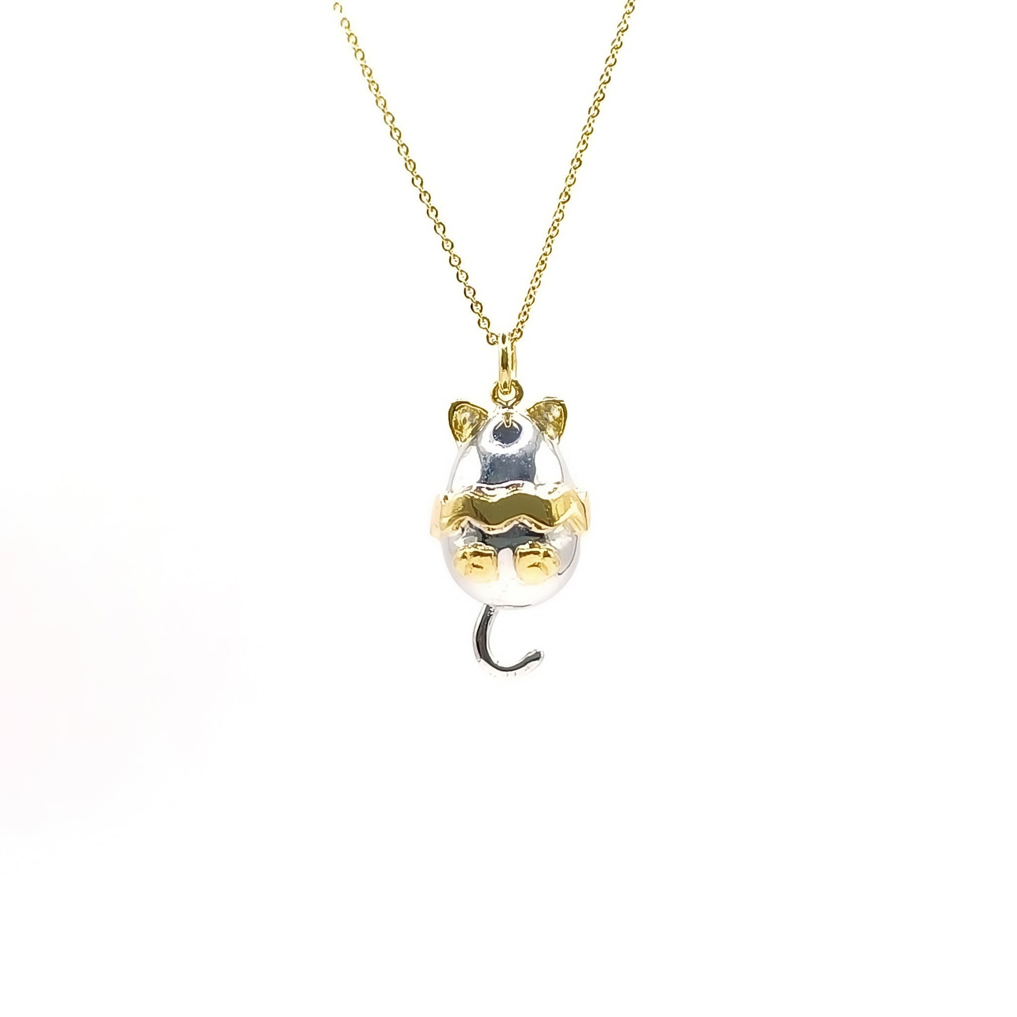 Huevo Gato Mediano - Paula Guzmán