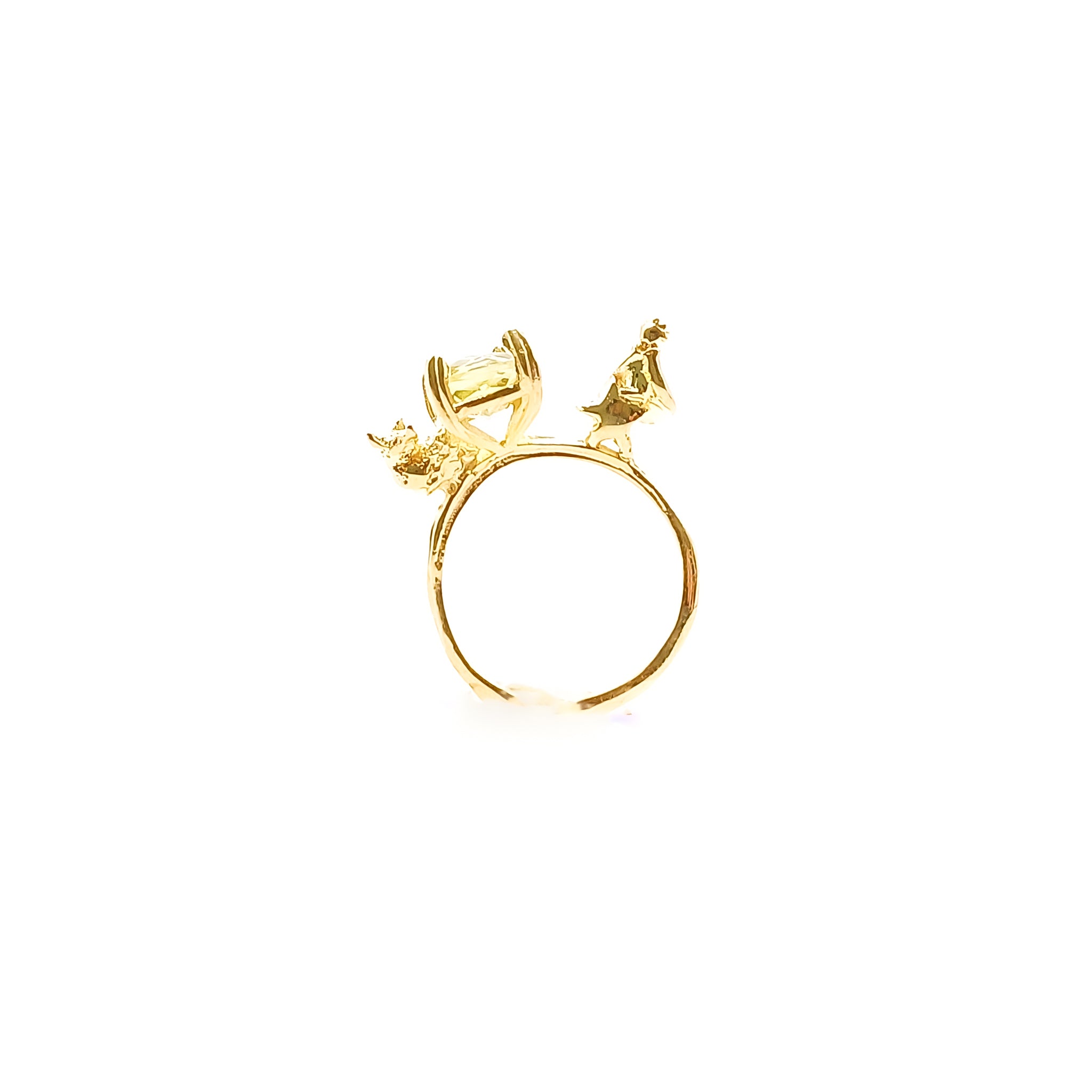 anillo principito y zorro.