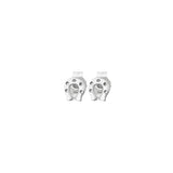 Aretes Amuleto Herradura