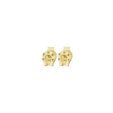 Aretes Amuleto Herradura