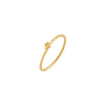 Anillo Amuleto estrella de David - Paula Guzmán