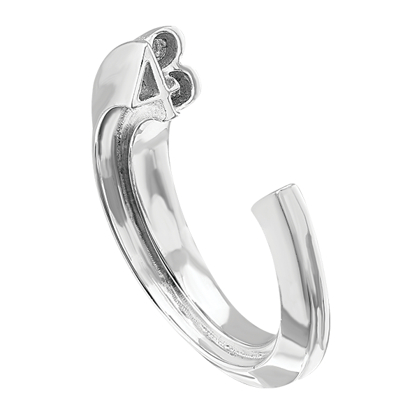 Anillo Ayotzinapa 43 - Paula Guzmán