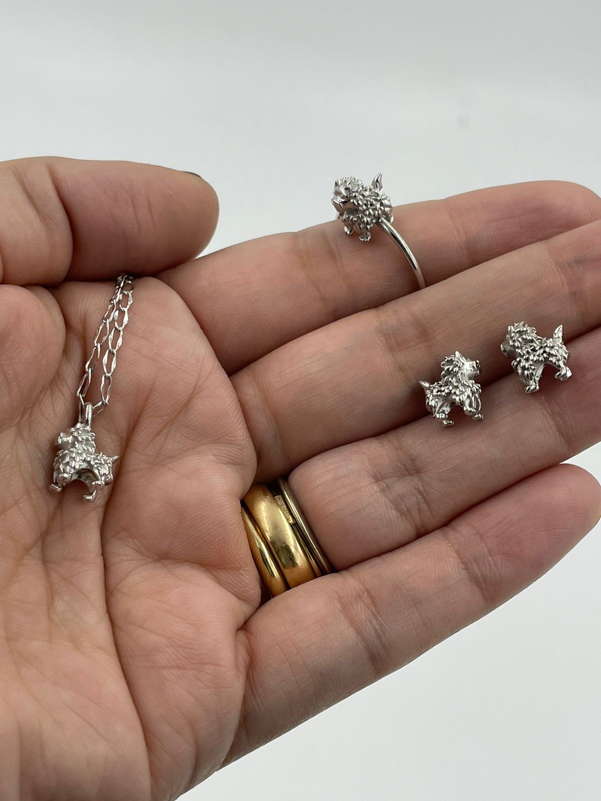 Dije Toto Chico - Paula Guzmán